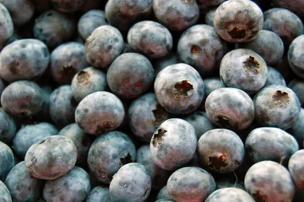 Fresh blueberries background — Stock Photo, Image