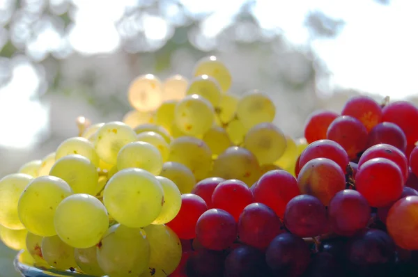 Uvas vermelhas e brancas — Fotografia de Stock