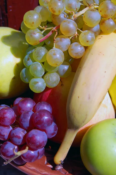 Assorted autumn fruits — Stock Photo, Image