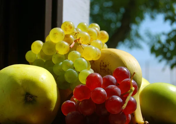 Fruits d'automne assortis — Photo