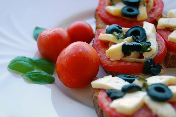 Bruschetta paradicsommal, olivával, kecskesajt, gyógynövények és olaj, pirított kenyér — Stock Fotó