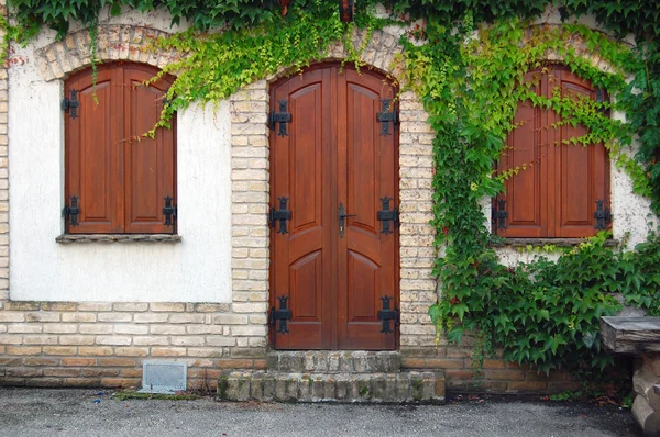 Detalle de la hermosa fachada de la casa rústica —  Fotos de Stock