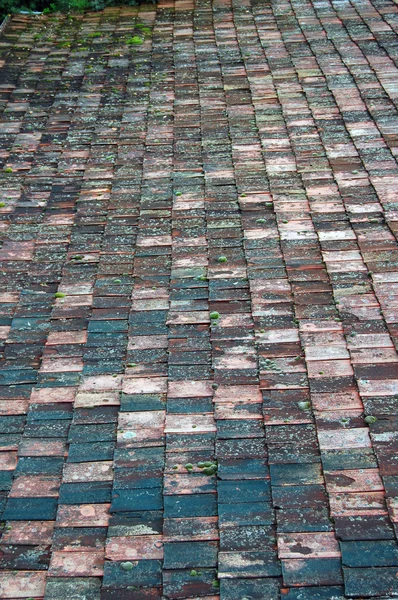 Осенний каменный тротуар — стоковое фото