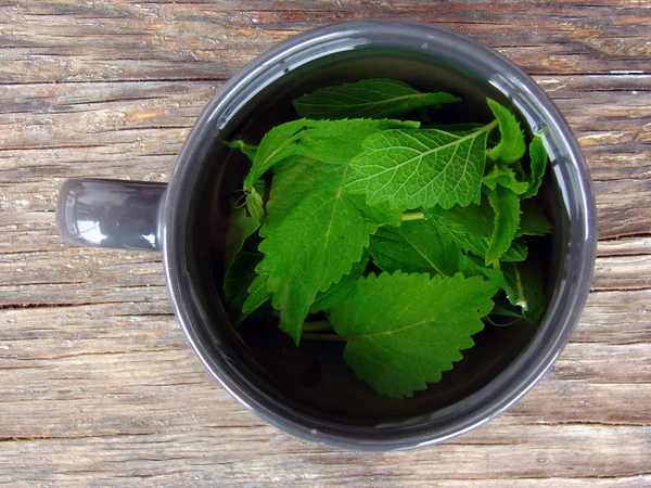 Tea with mint on wooden table — Stock Photo, Image