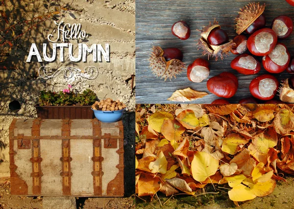 Herfst achtergrond, met kastanjes en kleurrijke bladeren — Stockfoto