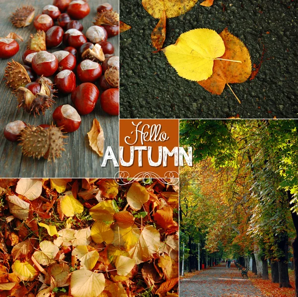 Autumn background with chestnuts and colorful leaves — Stock Photo, Image