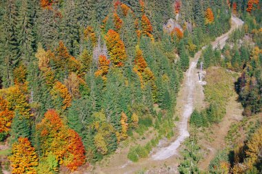 dağda sonbahar renkleri