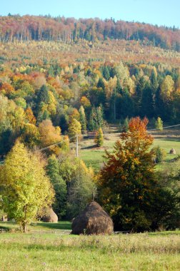 Samanlık, sonbahar yatay