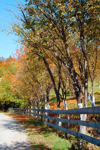 Paesaggio d'autunno — Foto Stock