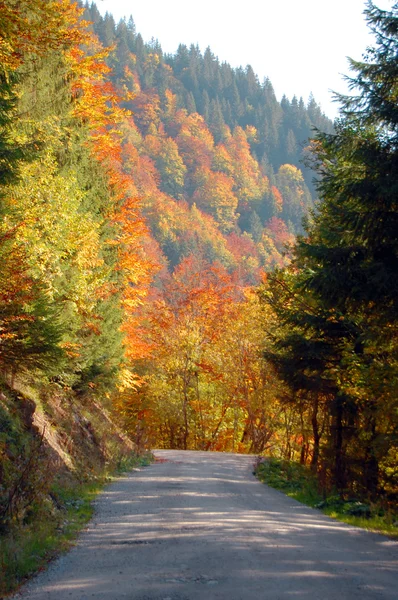 Herfst kleuren in de bergen — Stockfoto