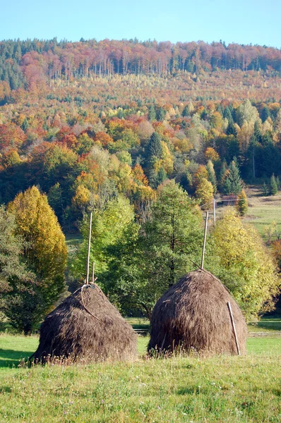 Herbstlandschaft mit Heuhaufen — Stockfoto