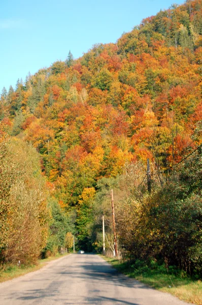 Herbstfarben in den Bergen — Stockfoto
