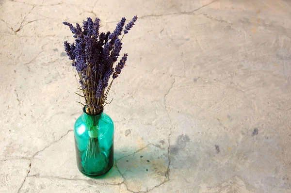 Flores de lavanda — Foto de Stock