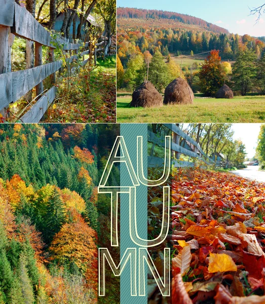 Autunno sfondo con foglie colorate — Foto Stock