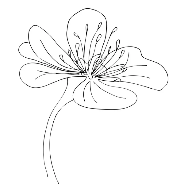Schattig bloem — Stockvector