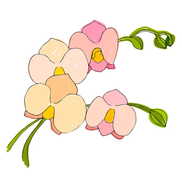 Schattig bloem — Stockvector