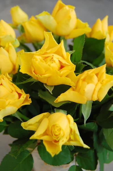 Bouquet di rose gialle — Foto Stock