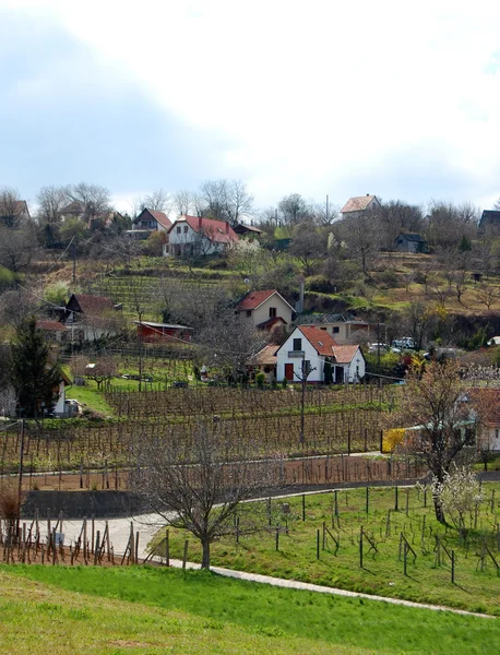 doğal kırsal manzara