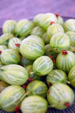 taze meyve arka plan ile bektaşi