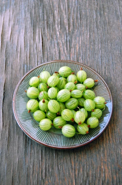 Klaproos bloeien in tuin — Stockfoto