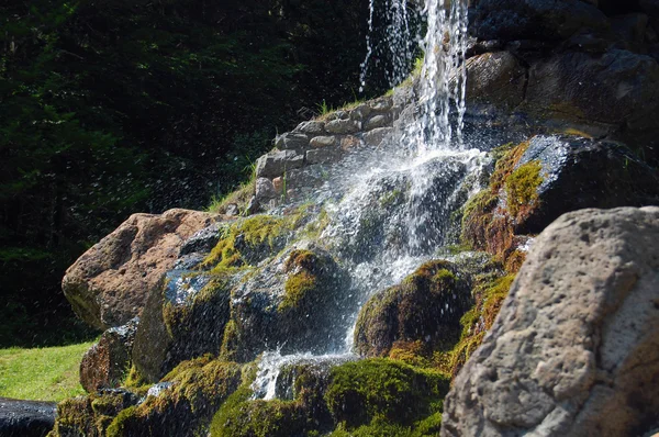 Cascada en el bosque — Foto de Stock