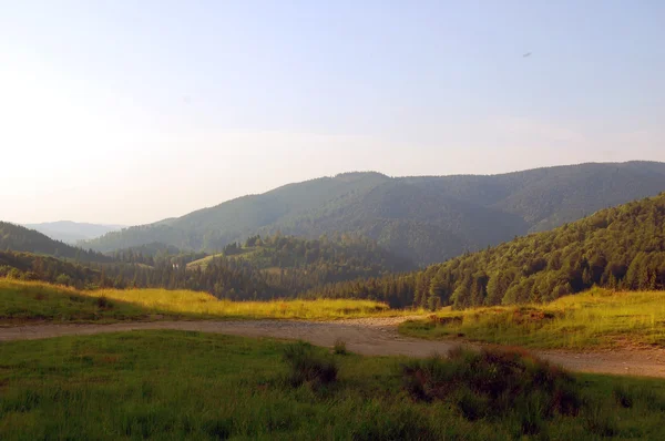 View of mountain peaks and green meadow