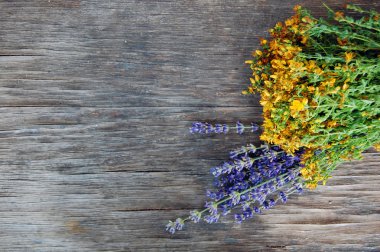 background of lavender and St John's wort