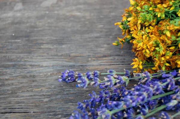 Background of lavender and St John's wort — Stock fotografie