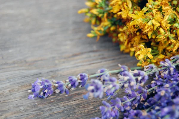 background of lavender and St John's wort