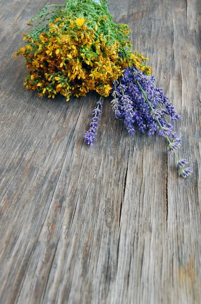 Hintergrund von Lavendel und Johanniskraut — Stockfoto