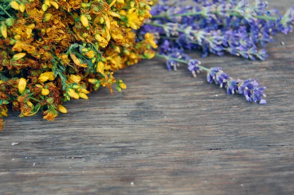 Hintergrund von Lavendel und Johanniskraut — Stockfoto