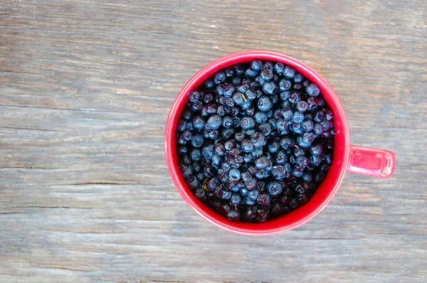 Full cup of juicy blueberries — Stock Photo, Image