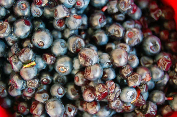 Heap of Ripe blueberries — Stock Photo, Image