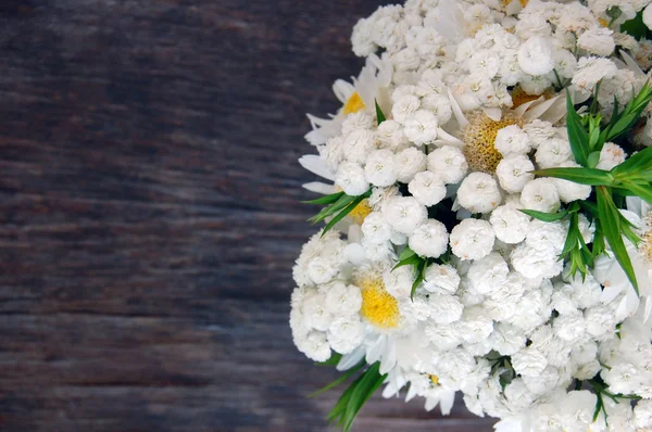 Ramo de primavera de margaritas blancas — Foto de Stock