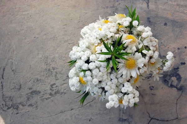 Spring bouquet of white daisies — Stock Photo, Image