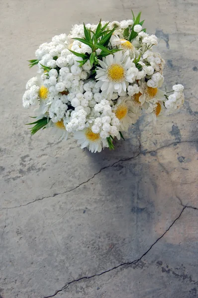Bouquet de printemps de marguerites blanches — Photo