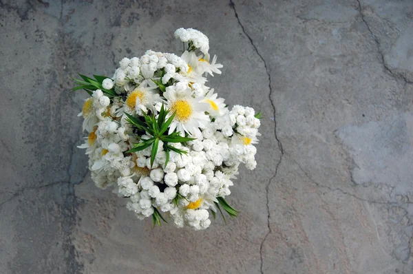 Bukiet wiosna białe stokrotki — Zdjęcie stockowe