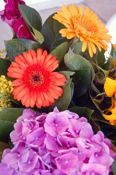 Mooi boeket van kleurrijke zomerbloemen — Stockfoto