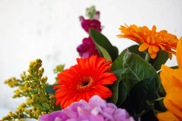 Beautiful bouquet of colorful summer flowers — Stock Photo, Image