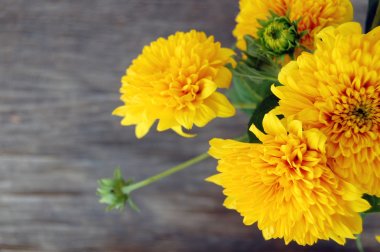 bouquet of Yellow Chrysanthemum clipart