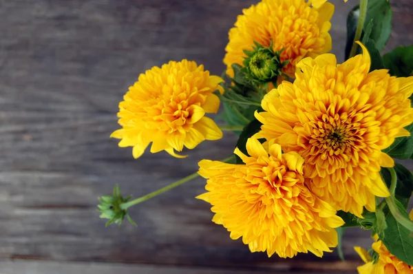 Bouquet of Yellow Chrysanthemum — Stock Photo, Image