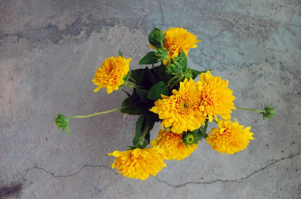 Boeket van gele chrysant — Stockfoto