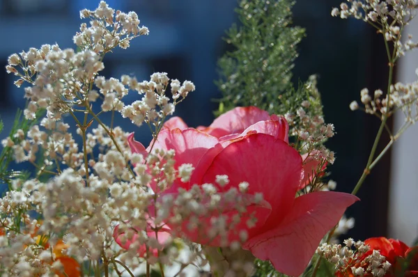 Hermoso ramo de flores de verano de colores —  Fotos de Stock