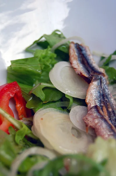 Salada de sardinha com tomate, cebola, azeitonas — Fotografia de Stock
