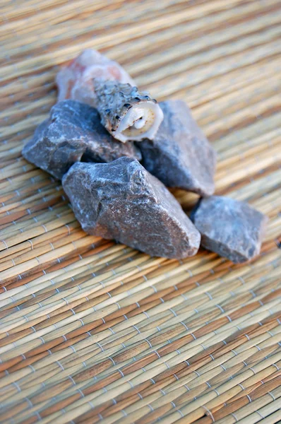 Pequeñas piedras y concha de mar — Foto de Stock