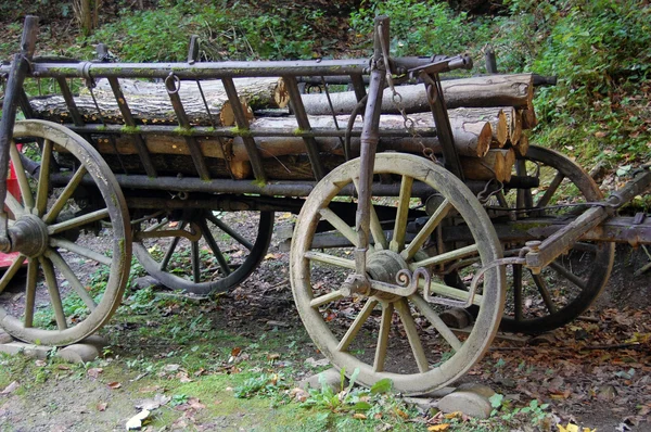 Metall vagn med trä stammar — Stockfoto