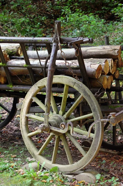 Vagão de metal com troncos de madeira — Fotografia de Stock