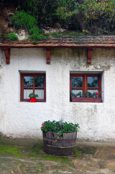 Detail der Fassade des alten Gebäudes mit Fenstern — Stockfoto