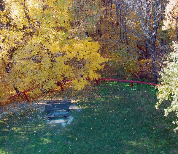 Foliage in the autumn park — Stock Photo, Image