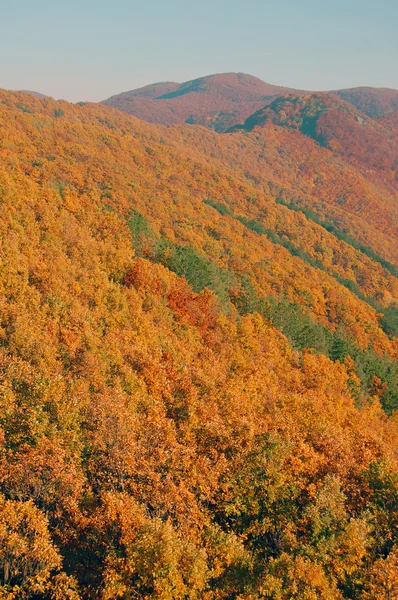 Herfst kleuren in de bergen — Stockfoto